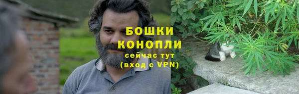 молекула духа Сатка