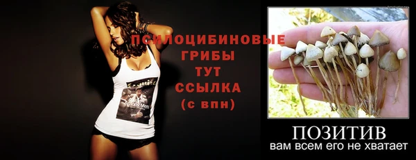 спиды Сафоново