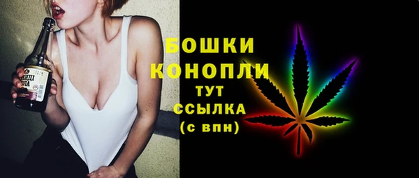 молекула духа Сатка